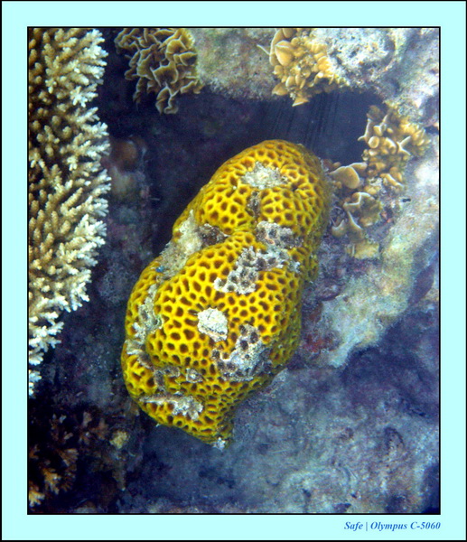 2005 - 08 - Perhentian  - 084.JPG